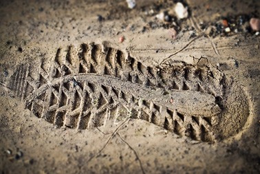 Biegi Przełajowe - Akademickie Mistrzostwa Poznania i Wielkopolski II rzut
